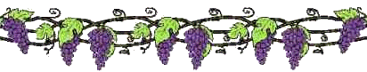 grape vine