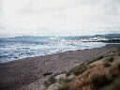 Bodega Head Beach